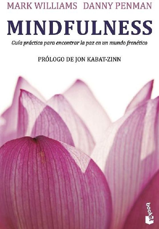 Mindfulness : guía práctica