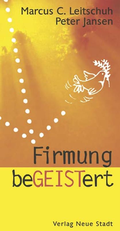 Firmung beGEISTert
