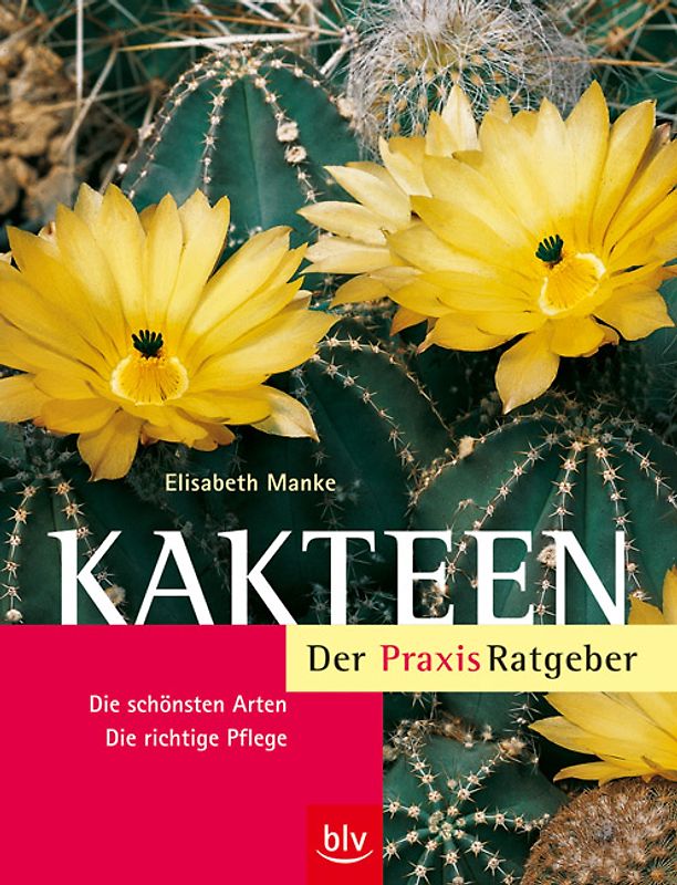 Kakteen – Der Praxis-Ratgeber