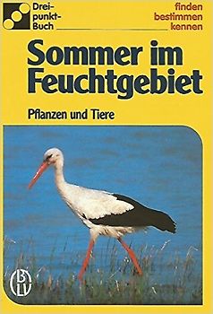 Sommer im Feuchtgebiet. Pflanzen und Tiere