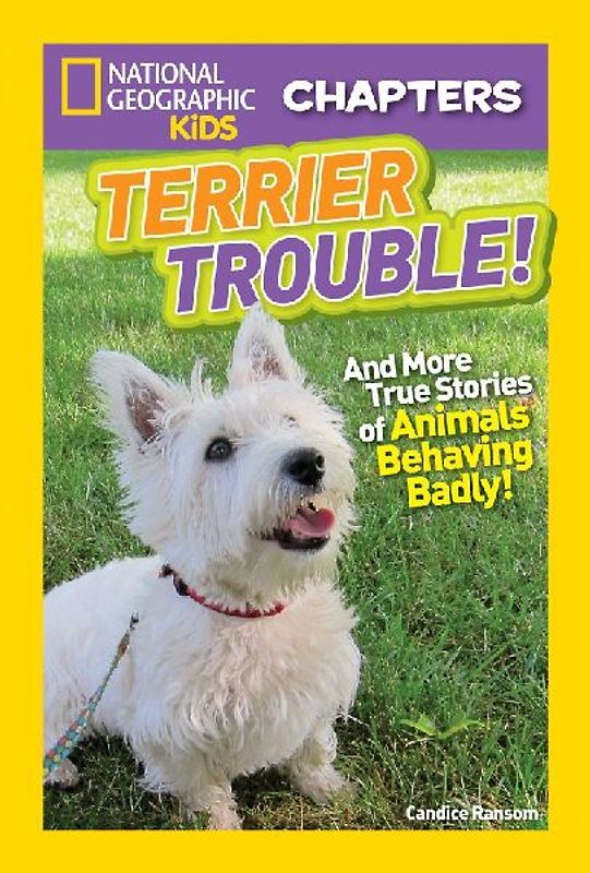 Terrier Trouble!