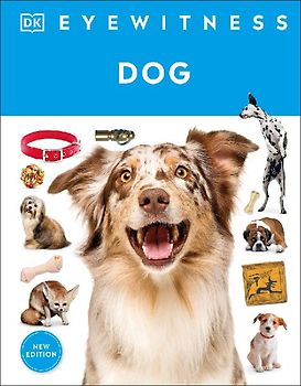 Eyewitness Dog