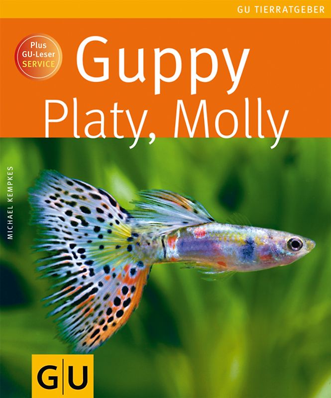 Guppy, Platy, Molly