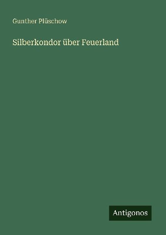 Silberkondor über Feuerland
