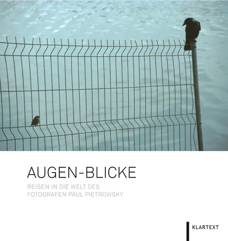 Augen-Blicke