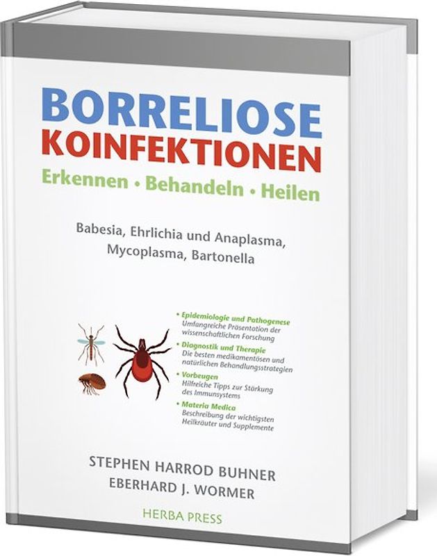 Borreliose Koinfektionen
