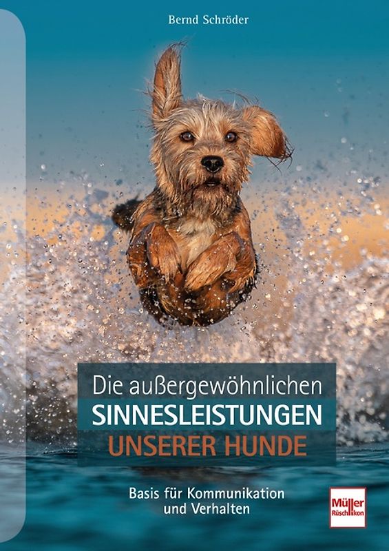 Die außergewöhnlichen Sinnesleistungen unserer Hunde