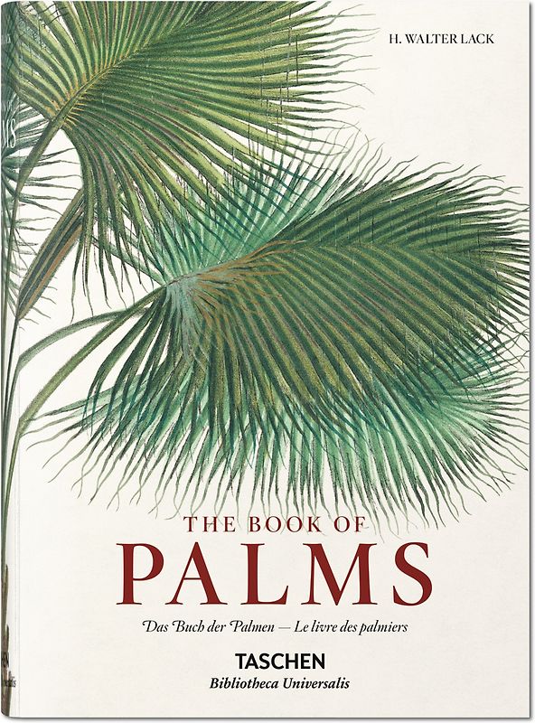 Martius. The Book of Palms