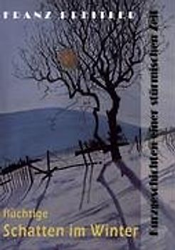 Flüchtige Schatten im Winter