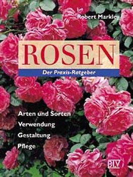 Rosen