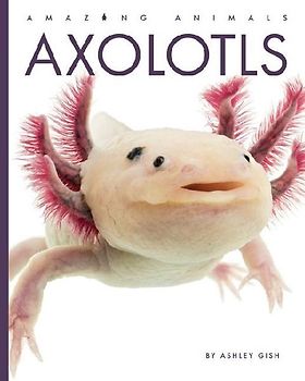 Axolotls