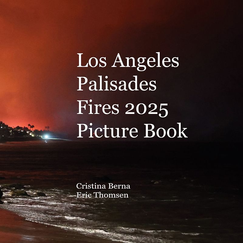 Los Angeles Palisades Fires 2025 Picture Book