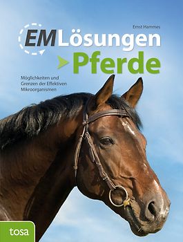 EM Lösungen – Pferde