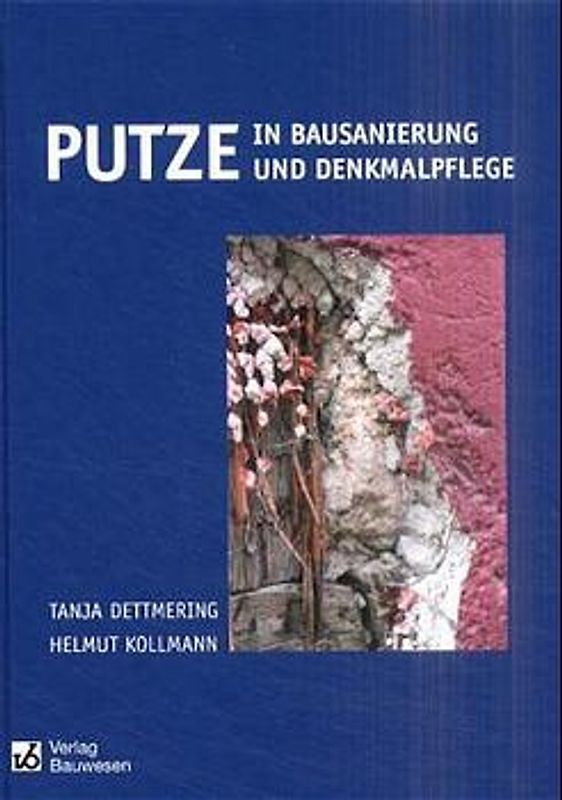Putze in Bausanierung und Denkmalpflege