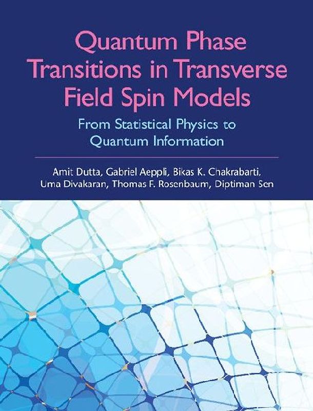 Quantum Phase Transitions in Transverse Field Spin Models