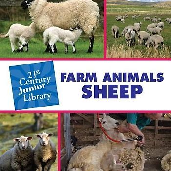 Farm Animals: Sheep