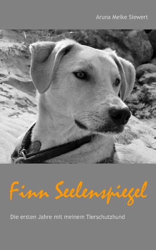 Finn Seelenspiegel