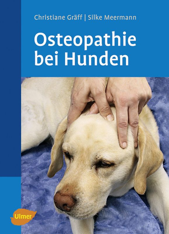 Osteopathie bei Hunden