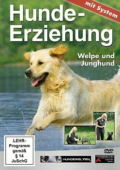Hundeerziehung mit System: Welpe und Junghund DVD