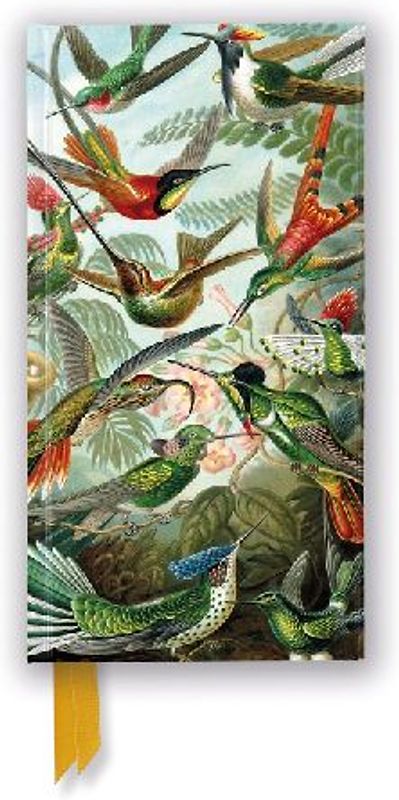 Ernst Haeckel: Hummingbirds (Foiled Slimline Journal)