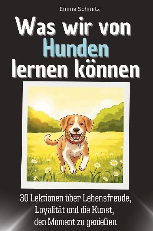 Was wir von Hunden lernen können