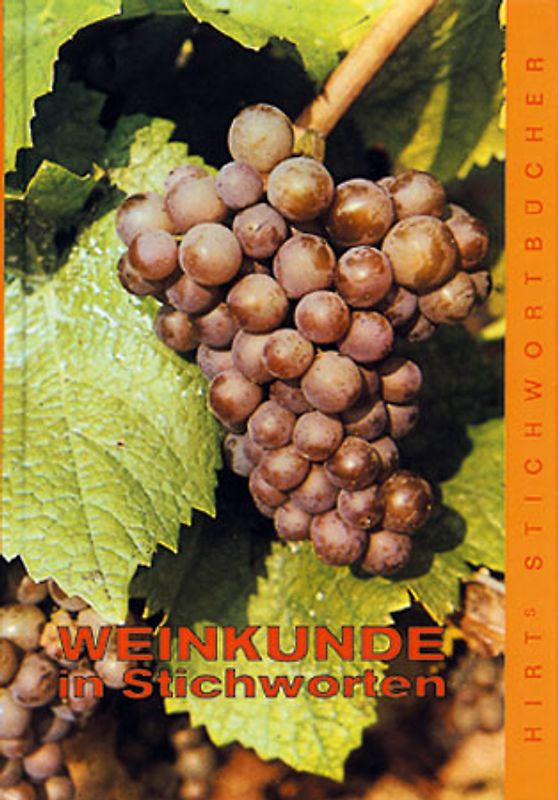 Weinkunde in Stichworten