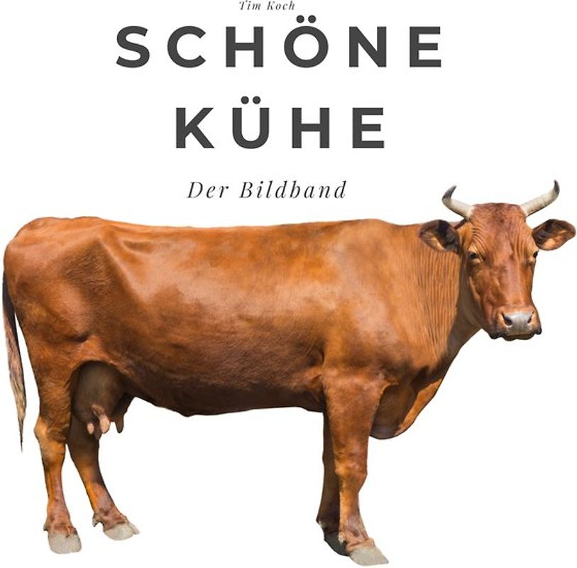 Schöne Kühe