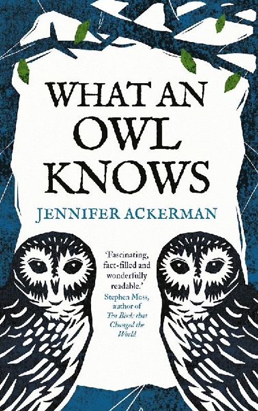 What an Owl Knows