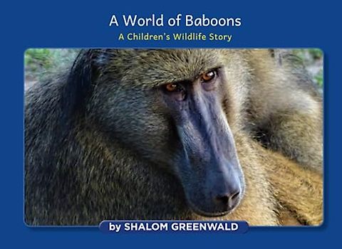 A World of Baboons: A Children's Wildlife Story