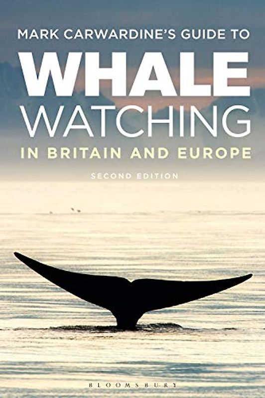 Mark Carwardine's Guide to Whale Watching in Britain and Europe