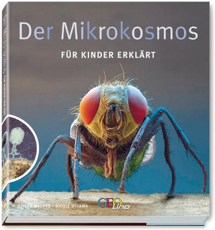 Der Mikrokosmos