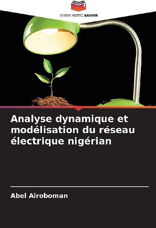 Analyse dynamique et modélisation du réseau électrique nigérian