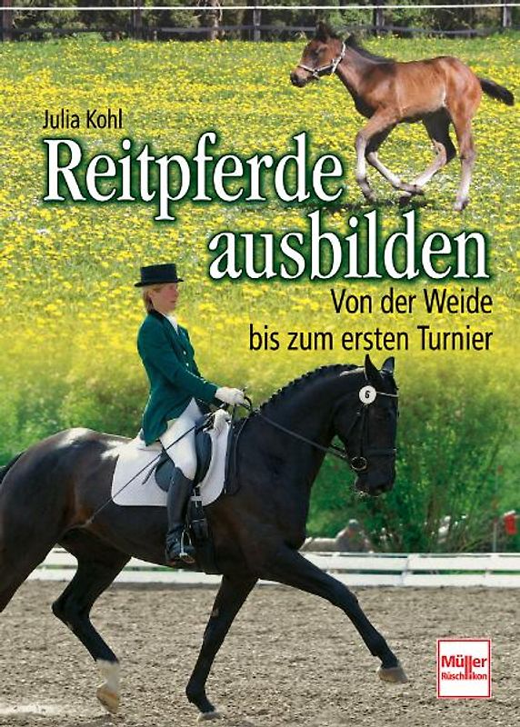 Reitpferde ausbilden