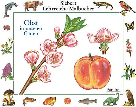 Obst in unseren Gärten. Malbuch