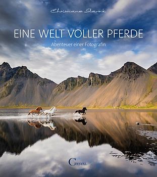 Eine Welt voller Pferde