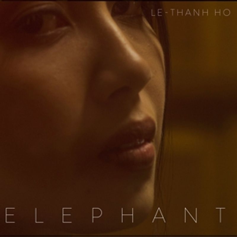 le-Thanh Ho - Elephant