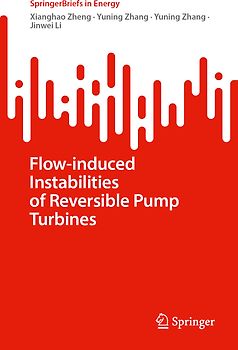Flow-Induced Instabilities of Reversible Pump Turbines