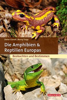 Die Amphibien und Reptilien Europas