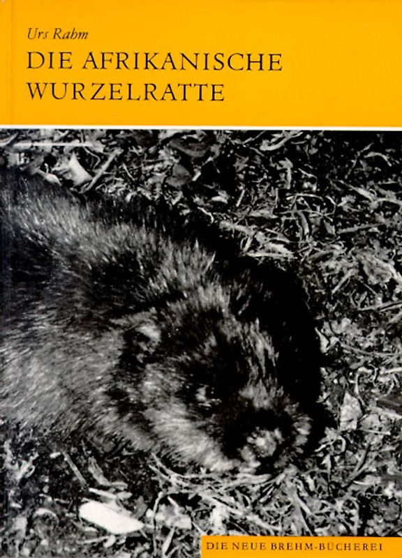Die Afrikanische Wurzelratte
