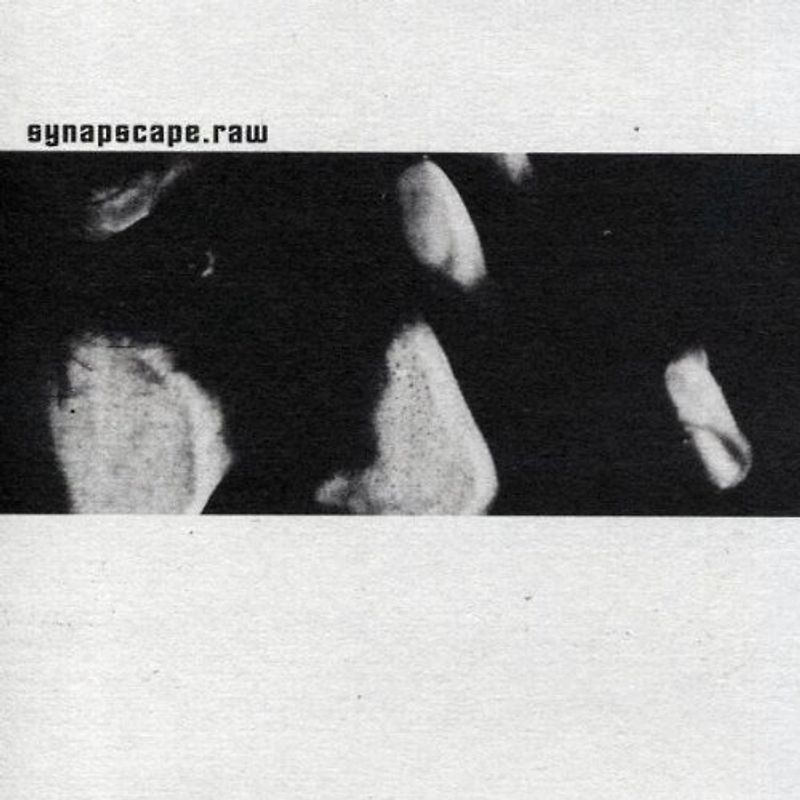 Synapscape - Raw