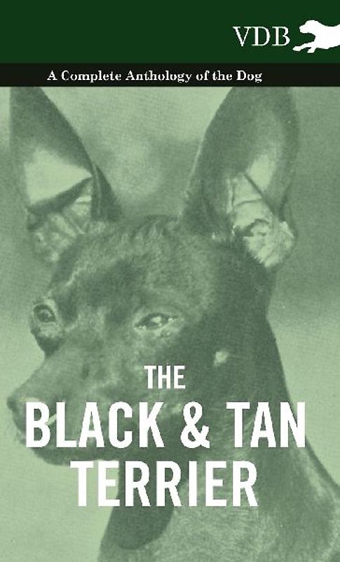 The Black and Tan Terrier - A Complete Anthology of the Dog -