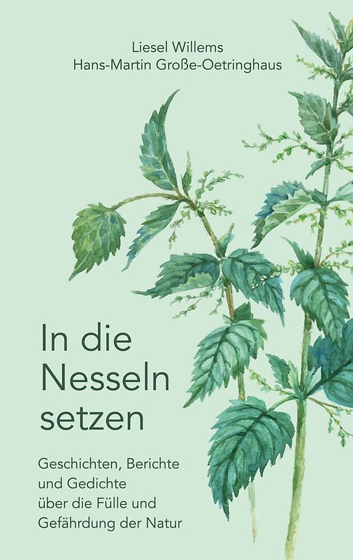 In die Nesseln setzen