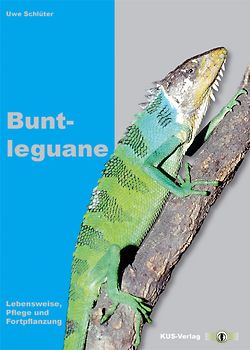 Buntleguane