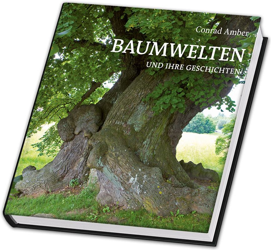 Baumwelten und ihre Geschichten