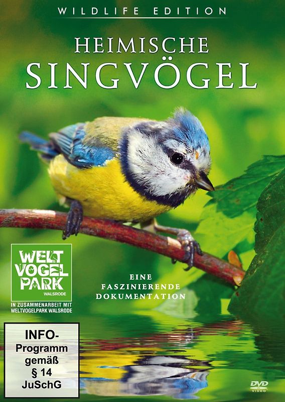 Heimische Singvögel DVD
