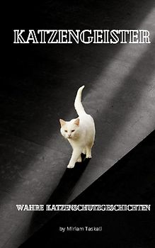 Katzengeister