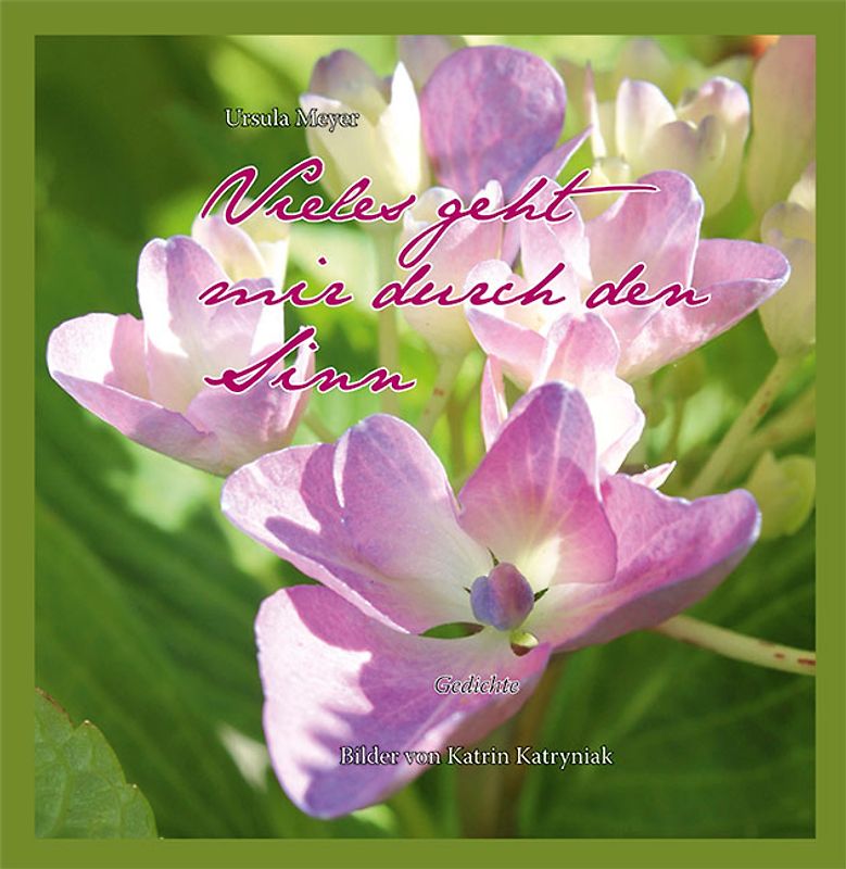 Vieles geht mir durch den Sinn