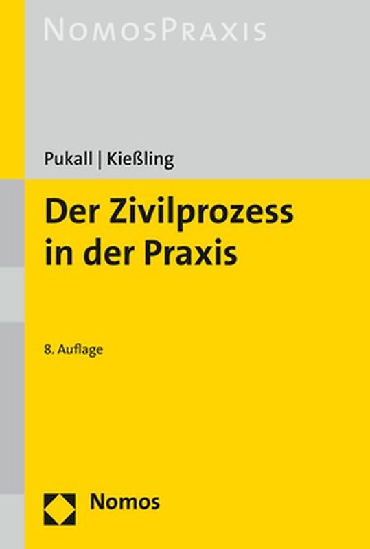 Der Zivilprozess in der Praxis