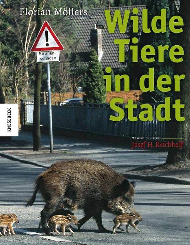 Wilde Tiere in der Stadt