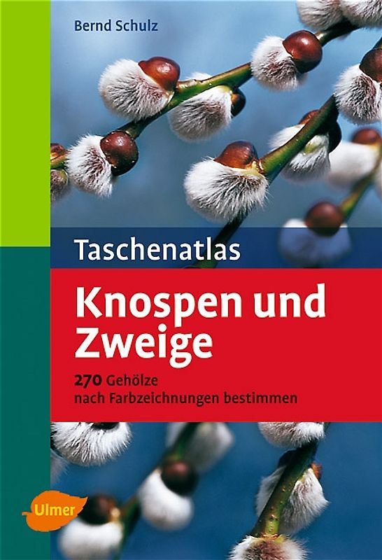 Taschenatlas Knospen und Zweige